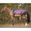 QHP Turnout Collection Fleece Lined Exercise Sheet - Mystical